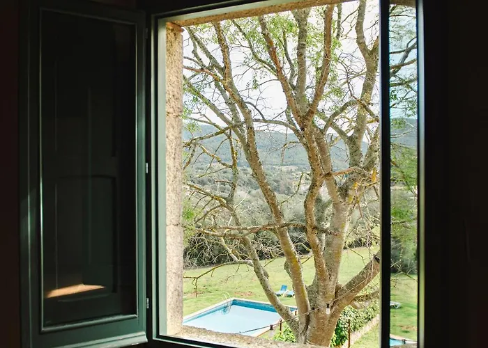 Kır Evi Margarit *
