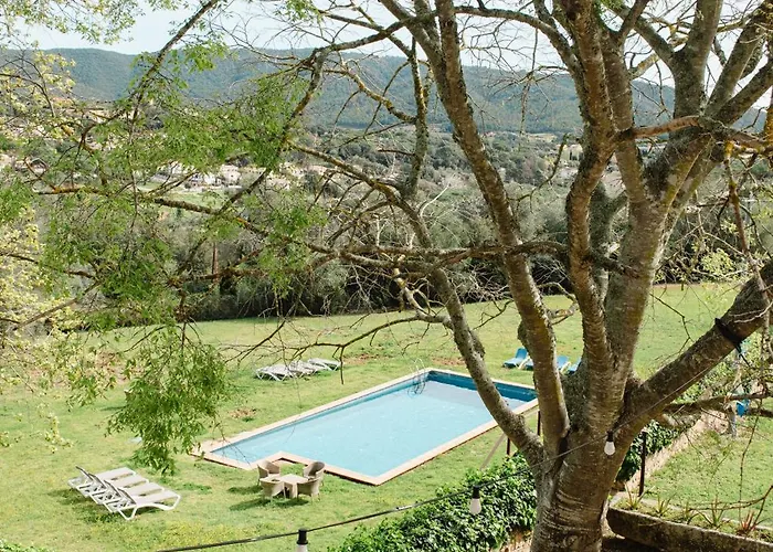 Kır Evi Margarit